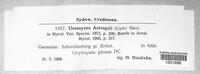 Uromyces pisi-sativi image